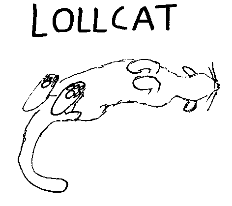 Drawing: a cat rolling onto its back,
with the caption LOLLCAT